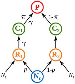 Synchrony and Stability in Trophic Metacommunities: When Top Predators Navigate in a Heterogeneous World